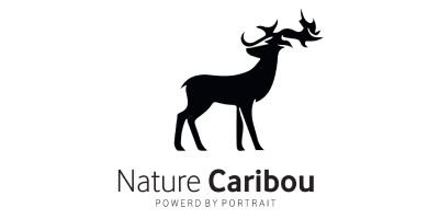 Nature Caribou